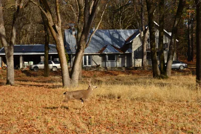 DSC_5846 (Large).JPG